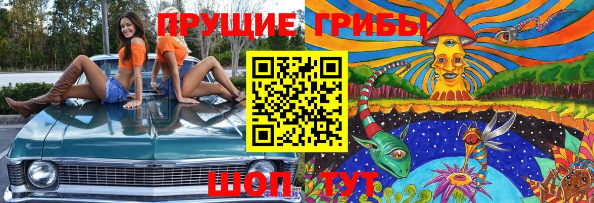 Псилоцибиновые грибы прущие грибы  Псилоцибиновые грибы Cubensis  Вязники  Вход с VPN 